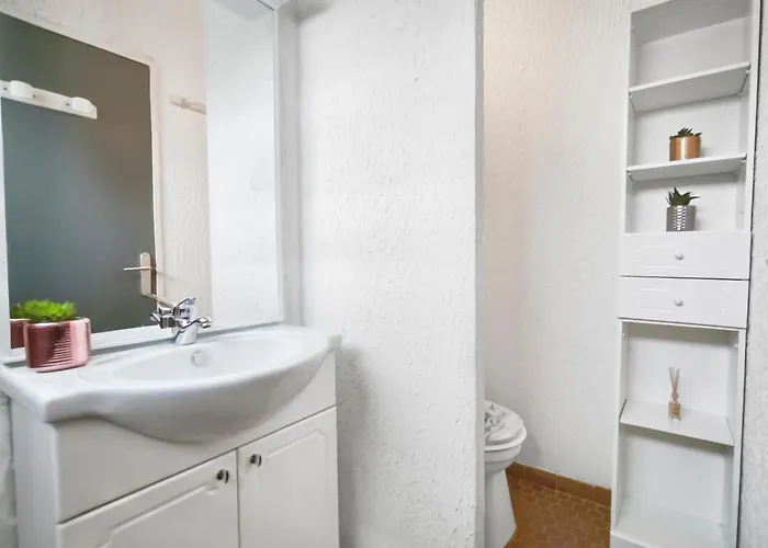 Cosy Avec Terrasse Et Parking Prive * Agde